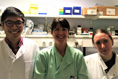 bone cancer research